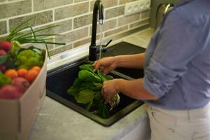 Close-up hands of a housewife washing fresh organic spinach leaves under flowing water in the sink at home kitchen photo