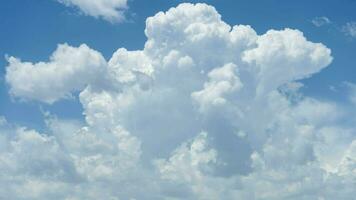 blanc duveteux cumulus des nuages et bleu ciel. temps laps. video