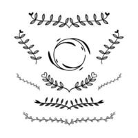 Set of Floral and Decorative Ornamental Elements. Hand Drawn Plants, Ornate Vintage Frames and Scroll Elements. vector