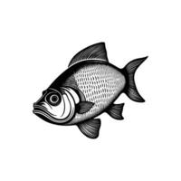 Fish icon on white background. Black and white vector illustration of fish.