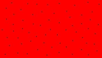 Watermelon pattern background. Vector design.