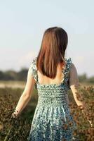 back of a beautiful tourist admiring the flower garden in Chiang Mai blessed because the flower garden looks beautiful. woman is blessed a walk in the beautiful flower garden and the bright nature. photo