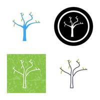 Tree with no Leaves Vector Icon