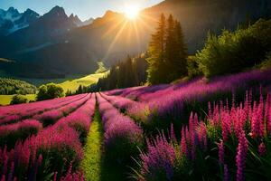 el Dom brilla terminado un campo de púrpura flores en el montañas. generado por ai foto