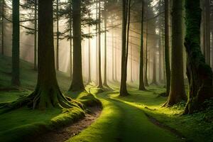 un camino mediante un bosque con arboles y césped. generado por ai foto