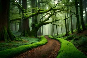 a path through a green forest with mossy trees. AI-Generated photo