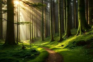 path in the forest with sun rays shining through the trees. AI-Generated photo