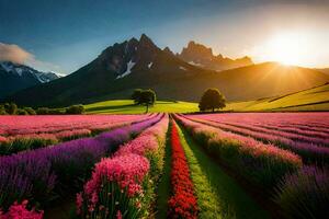 the sun rises over a lavender field in the mountains. AI-Generated photo