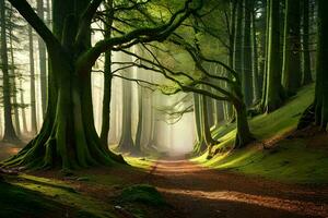 a path through a forest with trees and fog. AI-Generated photo