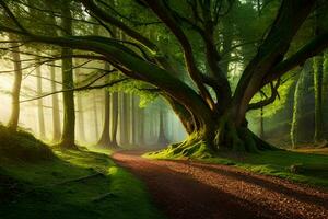 un camino mediante un bosque con un árbol en el medio. generado por ai foto