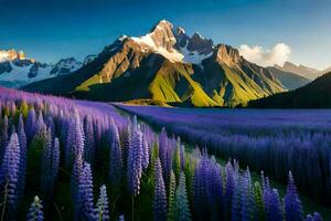 the lupine field in the mountains. AI-Generated photo