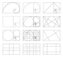 dorado proporción modelo colocar. método dorado sección. fibonacci formación, números. armonía dimensiones, simetría, balance. contorno vector gráfico ilustración. geometría secuencia rejillas