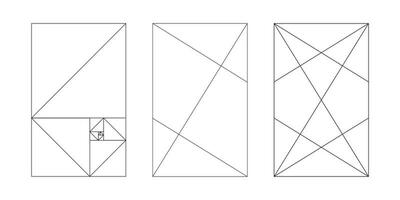 dorado proporción modelo colocar. armonía dimensiones. método dorado secciones. fibonacci formación, números. contorno gráfico. vector ilustración.