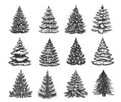 Christmas tree set hand drawn illustration vector