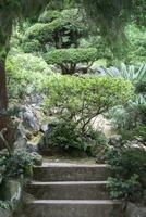 Concrete steps leading to the Japanese garden. photo