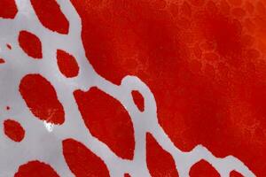 Fragment of red sneaker fabric. The texture of the material of sports shoes photo