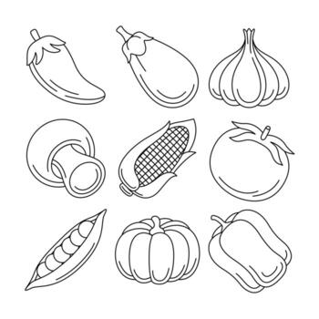vegetable objects vector illustrations set