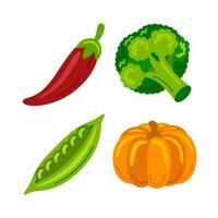 vegetable objects vector illustrations set