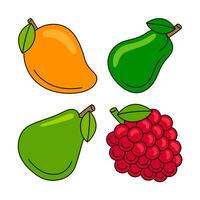 Fruta objetos vector ilustraciones conjunto