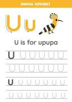 Tracing alphabet letters for kids. Animal alphabet. U is for upupa. vector