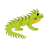 Vector illustration of cute iguana isolated on white background.