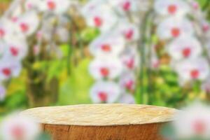 Empty old tree stump table top with blur orchid garden background for product display photo