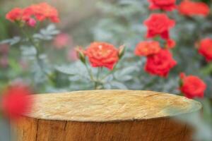 Empty old tree stump table top with blur rose garden background for product display photo