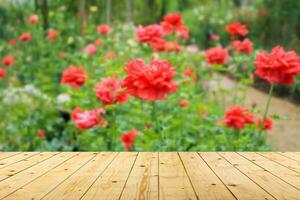 Empty wood table top with blur rose garden background for product display photo