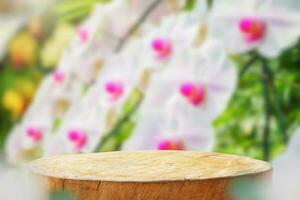 Empty old tree stump table top with blur orchid garden background for product display photo