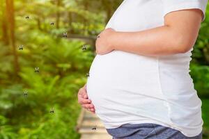 Many mosquitoes flying around pregnant woman in the garden photo