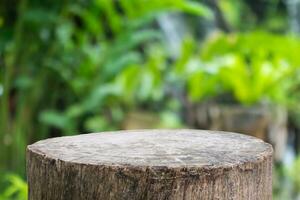 Empty old tree stump table top with blur green tropical garden background for product display photo