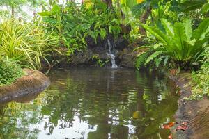 hermosa tropical jardín estanque foto