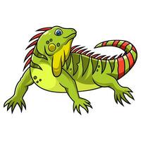 Cartoon iguana isolated on white background vector