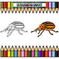 Colorado escarabajo dibujos animados para colorante libro vector