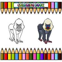 dibujos animados mandril babuino para colorante libro vector