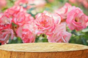 Empty old tree stump table top with blur rose garden background for product display photo