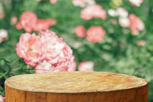 Empty old tree stump table top with blur rose garden background for product display photo