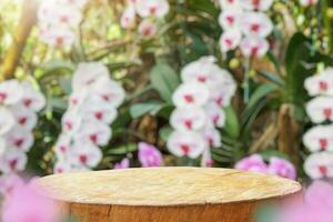 Empty old tree stump table top with blur orchid garden background for product display photo