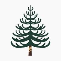 A cute plain Christmas tree, spruce, pine, conifer without decoration, flat vector illustration isolated on white background. Merry Christmas and Happy New Year.