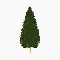 A cute plain Christmas tree, spruce, pine, conifer without decoration, flat vector illustration isolated on white background. Merry Christmas and Happy New Year.