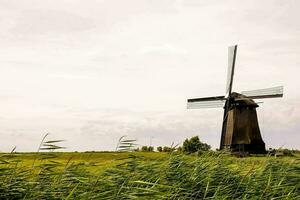 a windmill in the middle of a field photo