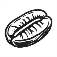 hand drawn illustration of coffee bean vector