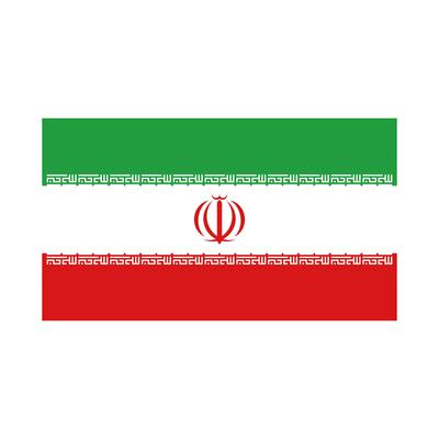 Iranian flag. Iran flag. Vector.