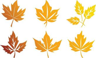 Stylish Fall Foliage Vector Art