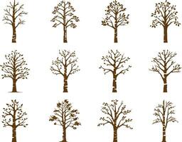 Mystical Birch Canopy  Enchanting Silhouette vector