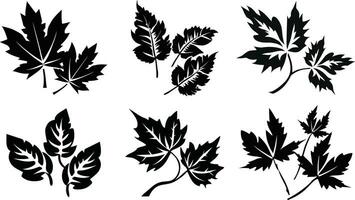 Contrast of Fall  Black and  White vector