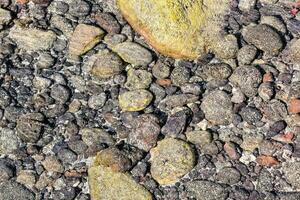 rocks and gravel on the beach photo