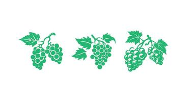 uvas soltado moderno viñedo diseño vector