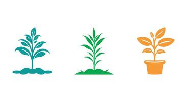 Sprouting Flora Essentials vector