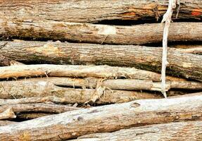 a pile of logs that are stacked together photo